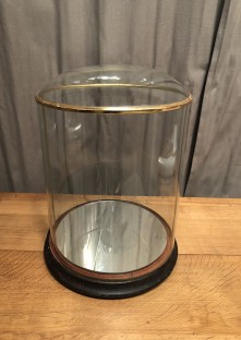 Antique globe, display case.