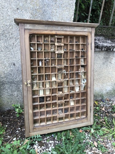 Old school educational display case.
