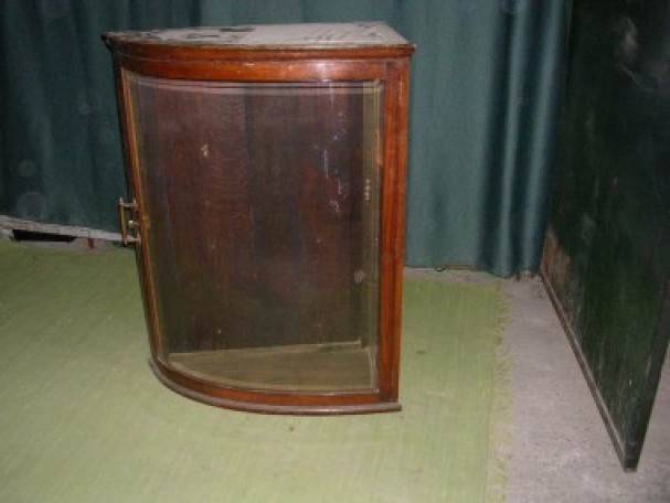 Oak and curved glass display case