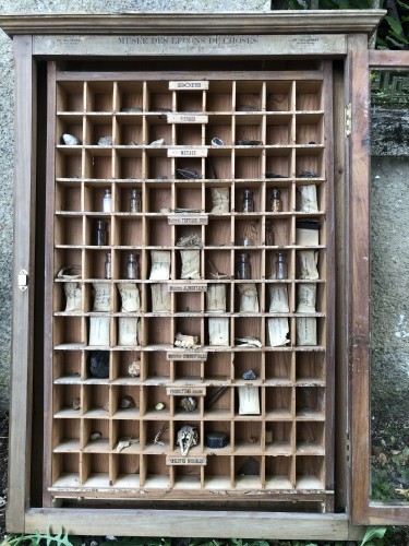 Old school educational display case.