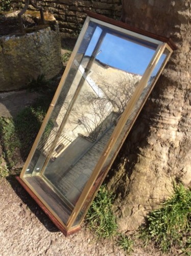 Vintage shop display case (sold LD)