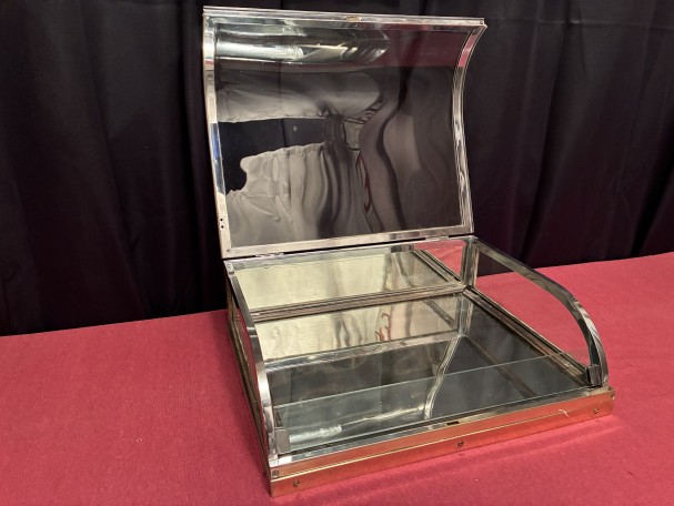 Small antique shop counter display case.
