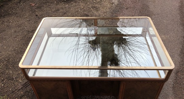 Pair of shop counters display cases.(sold)