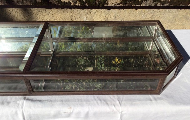Early 20th century shop display case.(sold PB)
