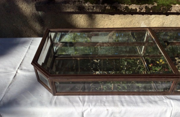 Early 20th century shop display case.(sold PB)