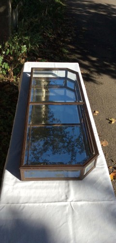 Early 20th century shop display case.(sold PB)
