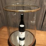 Antique globe, display case.