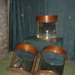 Vintage hat shop display cases