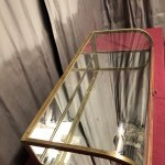 Old large shop counter display case.