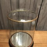 Antique globe, display case.