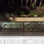 Early 20th century shop display case.(sold PB)