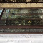 Early 20th century shop display case.(sold PB)