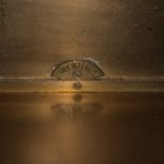 Old triptych mirror.